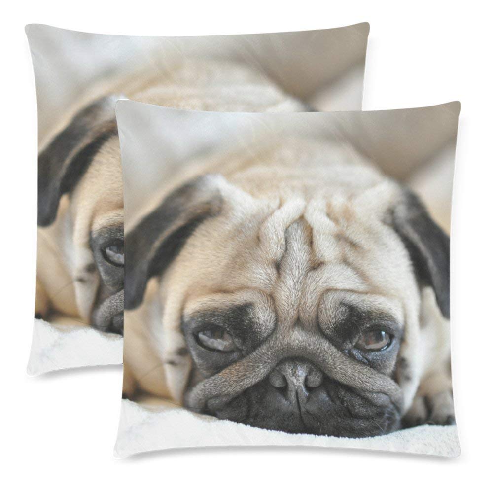 Custom 2 Pack Funny Pug Dog Pillowcase Protector 18x18 Cushion Case Cover Twin Sides, Lovely Animal Puppy Dog Cotton Zippered Throw Pillow Case Covers Set Decorative