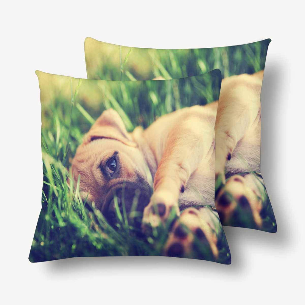 Cute Baby Pug Chihuahua Mix Puppy Pillowcase Throw Pillow Covers 18x18 Set of 2, Pillow Sham Cases Protector for Home Couch Sofa Bedding Decorative