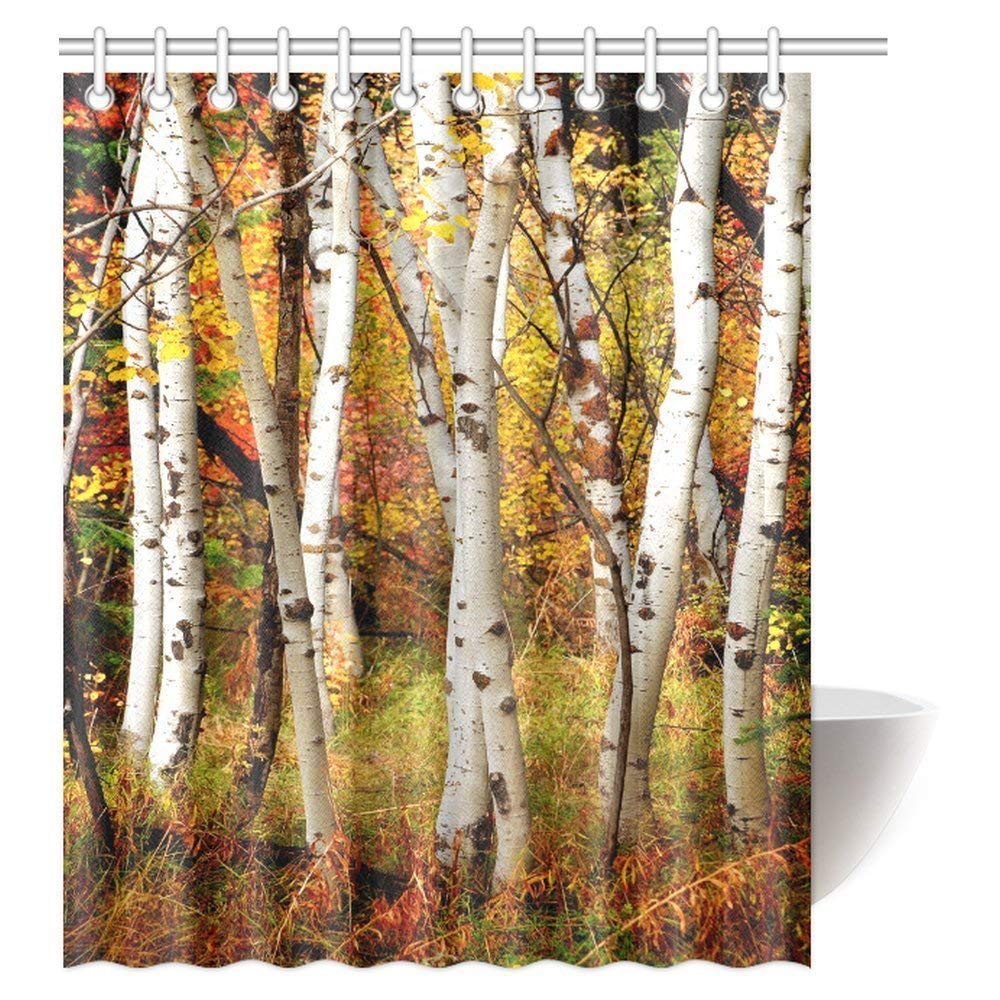 Fall Woodland Shower Curtain, White Fall Birch Trees with Autumn Leaves Growth Wilderness Ecology Calm View Fabric Bathroom Shower Curtain with Hooks
